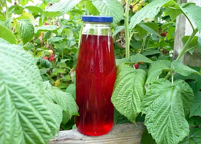 Malinový sirup II.