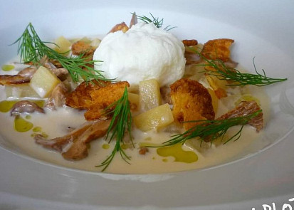 Kulajda podle Radka Davida