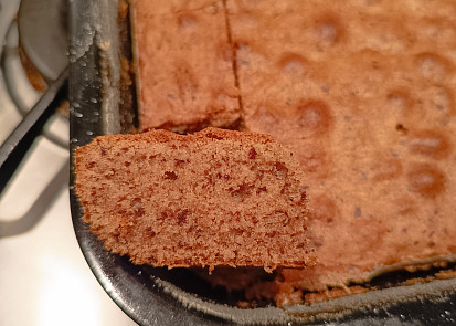 Jihoafrická návštěvnická buchta