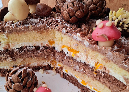 Dvoubarevný dort s tmavým a světlým krémem