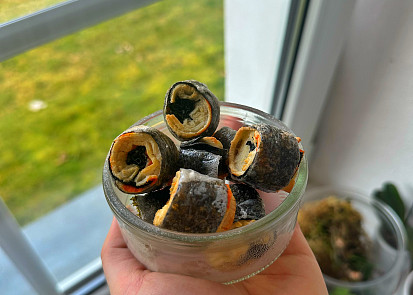 Křupavé sushi rolky z horkovzdušné fritézy