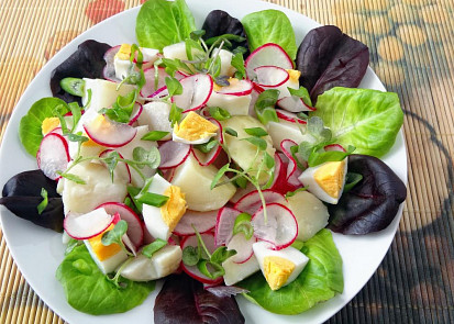 Lehký salát z brambor a ředkviček