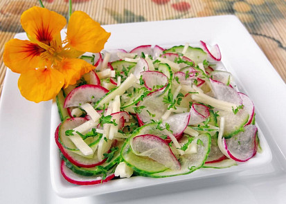 Ředkvičkovo-okurkový salát se sýrem