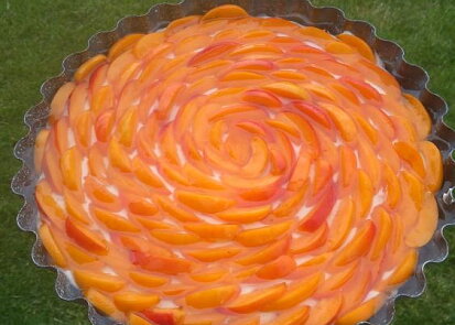 Nepečený meruňkový cheesecake