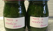 Pesto z medvědího česneku recepty